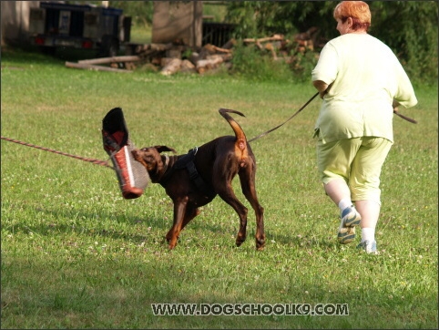 Training camp - Lukova 2007